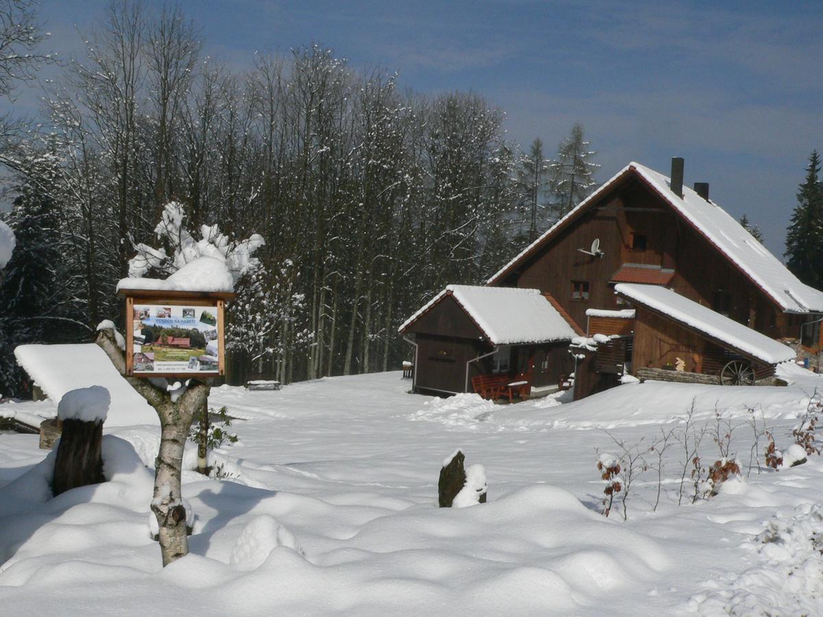Penzion Na Habesi Kasperske Hory Exterior photo